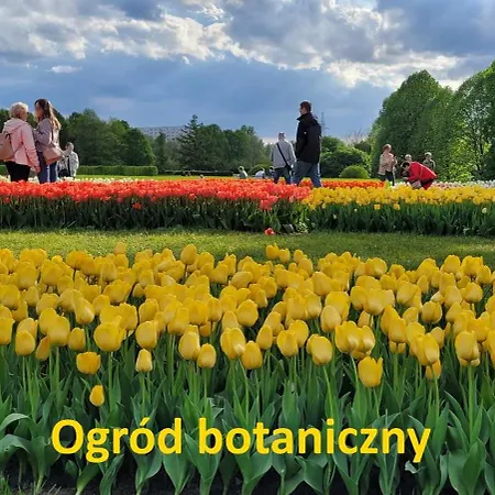 Krzemieniecka Atlas Arena Zoo Orientarium Daire Łódź