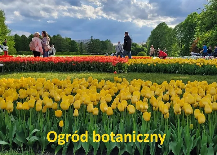 Krzemieniecka Atlas Arena Zoo Orientarium Apartamento Łódź